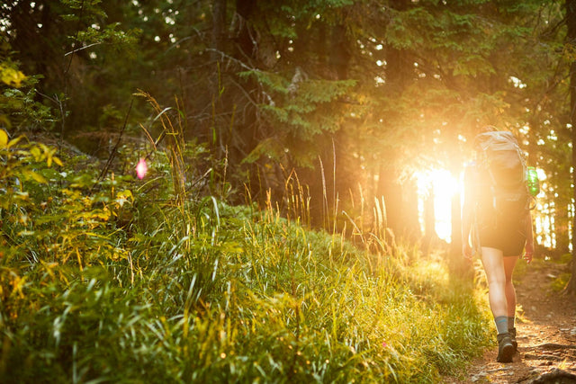 Zanechaj prírodu v stave, v akom si ju našiel: 7 princípov iniciatívy Leave No Trace